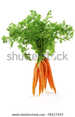 fresh carrot fruits with green leaves, isolated on white background