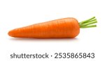 Fresh Carrot isolated on white background. Clipping path.