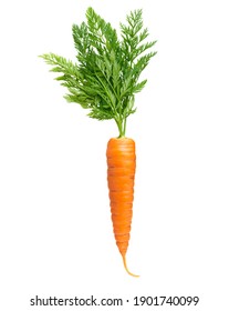Fresh carrot isolated on white background, front view - Shutterstock ID 1901740099