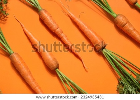 Fresh carrots with leaves on orange background