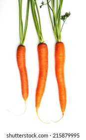 Fresh Carrots On White Background.