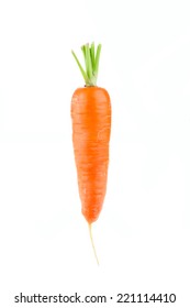 Fresh Carrots On White Background