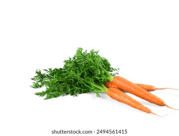 fresh carrots still complete with leaves and roots isolated on white background | fresh carrots from the farmer | fresh carrots from the garden - Powered by Shutterstock