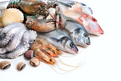 Fresh Catch Of Fish And Other Seafood Isolated On White Background