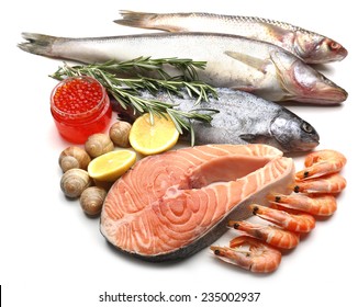 Fresh Catch Of Fish And Other Seafood Isolated On White