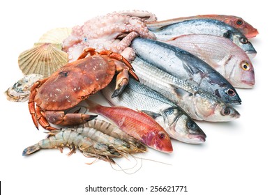 Fresh Catch Of Fish And Other Seafood Isolated On White Background