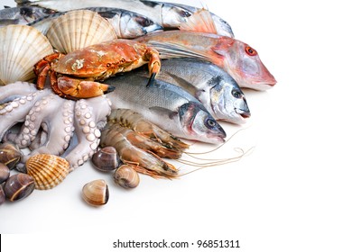 Fresh Catch Of Fish And Other Seafood