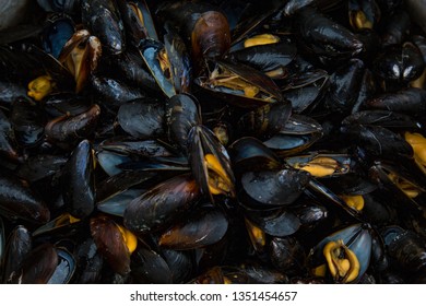 Fresh Caught And Steamed Atlantic Mussels In A Large Pot At Neighborhood Potluck