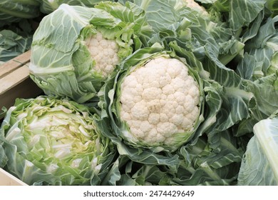 Fresh cauliflower for sale in June - Powered by Shutterstock