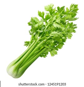 Fresh celery isolated on white background. 