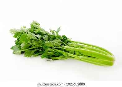 Fresh Celery On A White Background