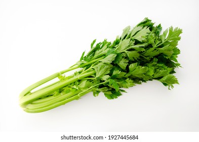 Fresh Celery On A White Background