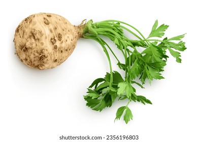 Fresh celery root with leaf isolated on white background. Top view. Flat lay