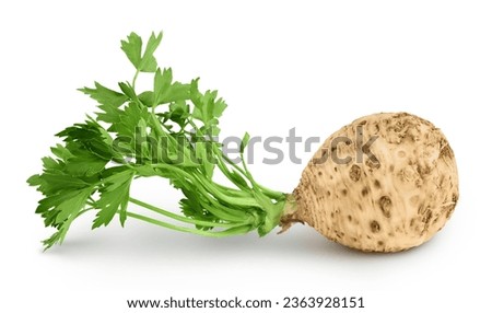 Fresh celery root with leaf isolated on white background