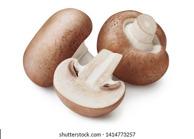 Champignon High Res Stock Images Shutterstock