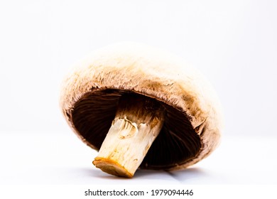 Champignon High Res Stock Images Shutterstock