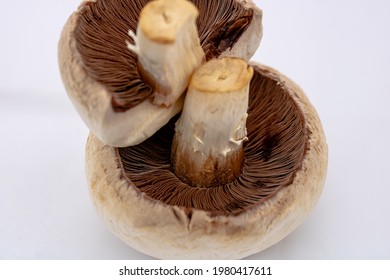 Champignon High Res Stock Images Shutterstock