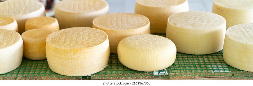 Fresh Cheese Heads Are On A Shelf In The Cheese Factory. Cheese Fermentation On A Dairy Farm. Banner