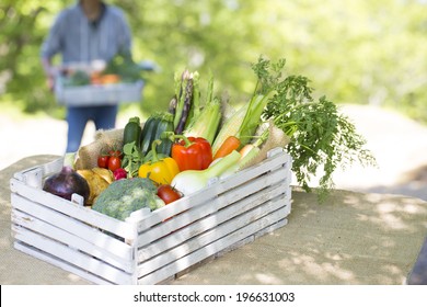 Fresh chemical-free vegetables you harvest