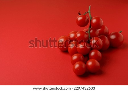 Fresh cherry tomato branch on red background