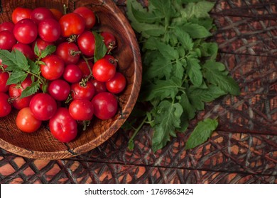 Fresh Cherry Tomato In A Wooden Bowl. Cherry Tomatoes Bowl. Table Top View.