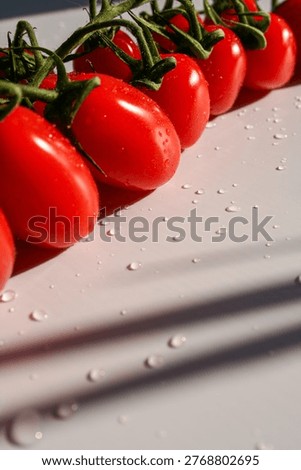 fresh cherry tomatoes close up