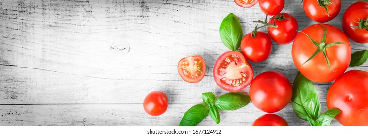 Fresh Cherry Tomatoes On A White Background With Green Basil Leaves Wide Banner. Overhead View On Tomato With Copy Space For Text.