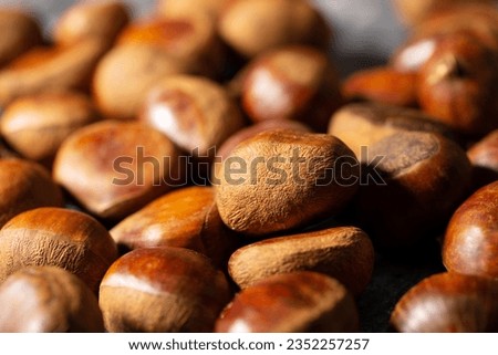 fresh chestnut close up,  chestnut