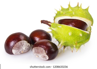 Fresh Chestnut Isolated On White Background