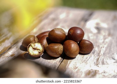 Fresh Chestnuts Isolated On A Wooden Floor, Chestnuts Have An Oily Sweet Taste.