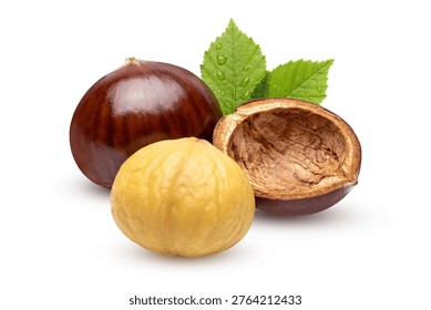Fresh Chestnuts with Shell and Kernel Isolated on White Background