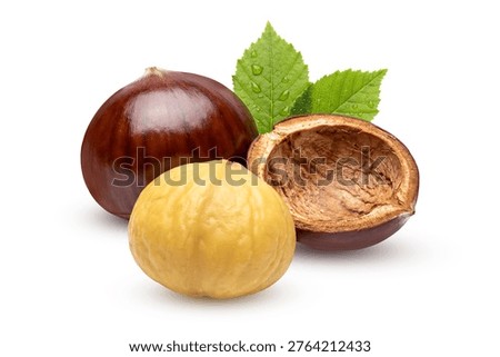 Fresh Chestnuts with Shell and Kernel Isolated on White Background