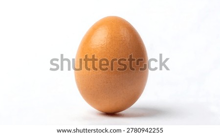 Fresh chicken egg with smooth shell isolated on clean white background natural food concept.