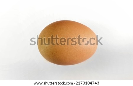 fresh chicken eggs on a blank background