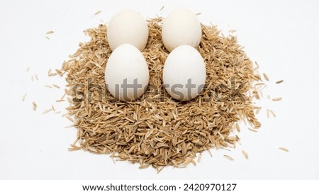 Fresh chicken eggs ( Telur Ayam Kampung ). White eggs served in bamboo plate with rice grain