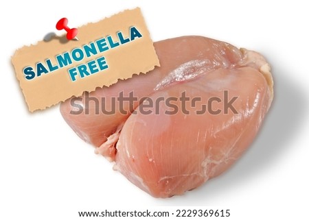Fresh chicken meat certified free from salmonella bacterium - HACCP (Hazard Analyses and Critical Control Points) - Food Safety and Quality Control in food industry concept