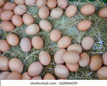 Fresh Chicken Rooster Eggs on Hay at Local Farmer Market. top view of eggs