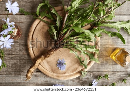 Fresh chicory root with leaves and flowers on a wooden table, top view Foto stock © 