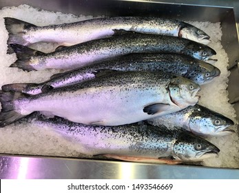 Fresh Chilled Atlantic Salmon From Norway In Asian Retail Supermarket