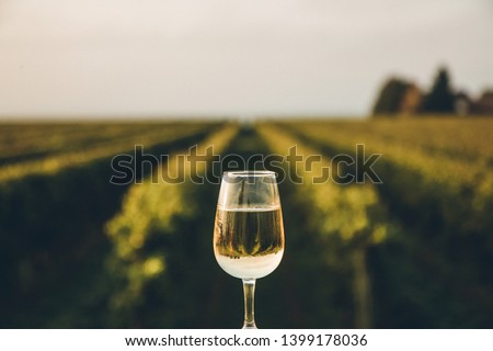 A fresh chilled glass of ice wine overlooking a Canadian vineyard during a Summer sunset
