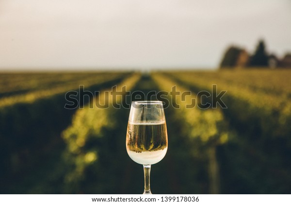 A fresh chilled glass of ice\
wine overlooking a Canadian vineyard during a Summer\
sunset\

