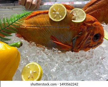 Fresh Chilled Orange Roughy Fish From Australia