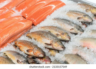Fresh chilled trout fish and trout fillet at seafood supermarket stall. Selective focus