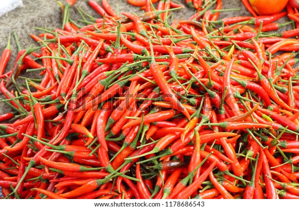 Featured image of post Easiest Way to Make Red Chilli Street Food