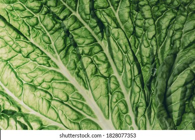 fresh chinese cabbage or napa cabbage texture, macro shot - Shutterstock ID 1828077353