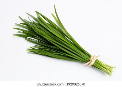 Fresh Chinese Chive leaves on white background. - Shutterstock ID 1929026570