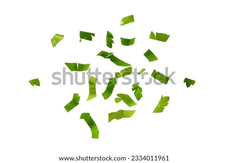 Fresh chopped parsley on a white background, top view. Chopped parsley leaves isolated on white background, top view. Chopped cilantro leaves, raw garden parsley.