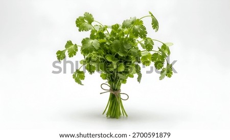 A fresh cilantro herb bundle features vibrant green leaves, neatly tied with twine, set against a clean white background. The image captures the plant's texture and natural appeal, perfect for