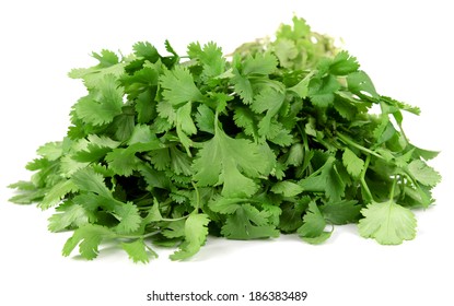 Fresh Cilantro Isolated On White