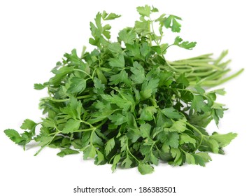 Fresh Cilantro Isolated On White